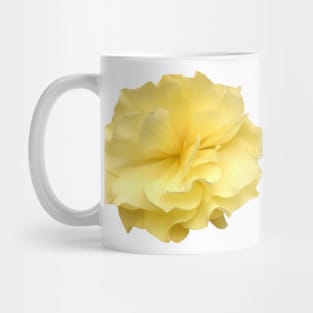 Yellow Double Begonia Close-up Mug